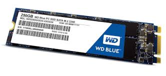 Western Digital SSD Blue 250GB (M.2)